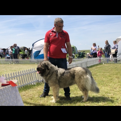 IDS LESZNO'19 - VALKYRIA